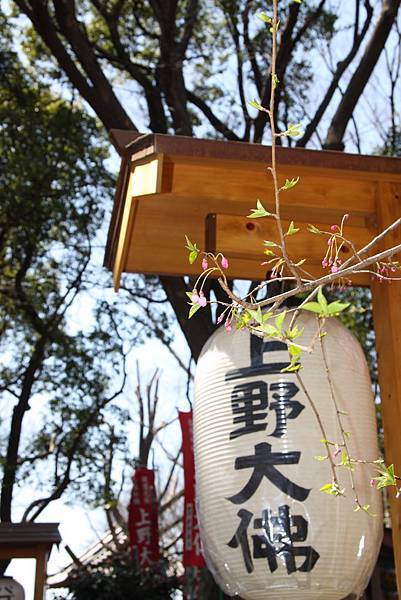 上野大佛