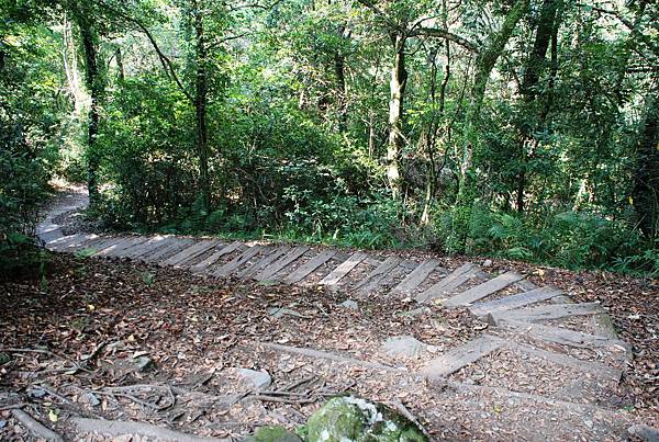 教學及健行步道