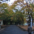 Day 3 - 皇居週邊 日比谷公園