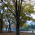 Day 3 - 皇居週邊 日比谷公園