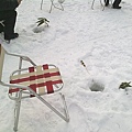 20110208804.jpg