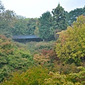 20111105-DSC_0996.jpg