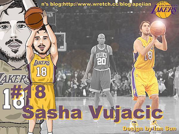 #18.Sasha Vujacic.jpg