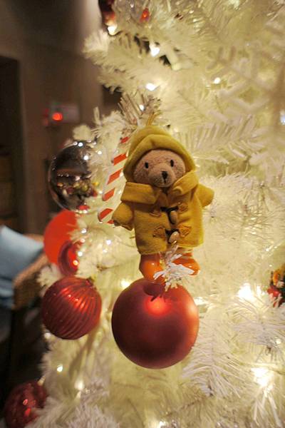1217-小熊爬上聖誕樹.JPG