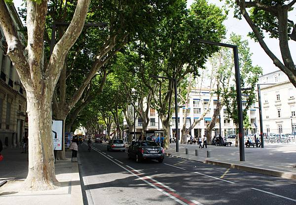 DSC01556-雅維儂主要的大路-共和國路Rue de la Republique.JPG