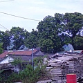 PICT0434.JPG