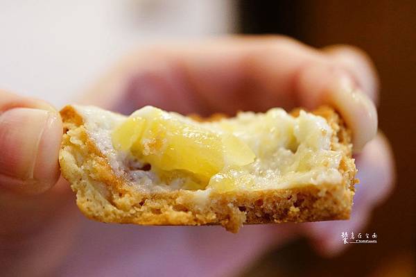 【台南甜點】Magma美格瑪起司塔|超犯規!鳳梨起司塔。鳳梨的酸甜、起司的鹹香,怎麼能不愛上! 【台南甜點】Magma美格瑪起司塔|超犯規!鳳梨起司塔。鳳梨的酸甜、起司的鹹香,怎麼能不愛上!