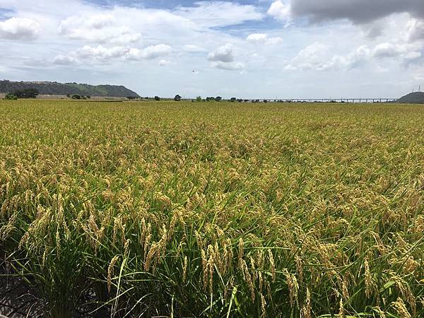 外埔%%_190703_0004.jpg 外埔%%_190703_0004.jpg