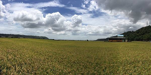 外埔%%_190703_0001.jpg 外埔%%_190703_0001.jpg