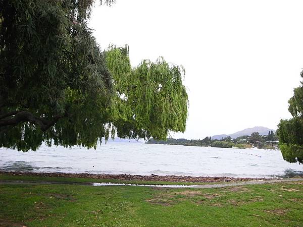 湖水暴漲的WANAKA