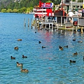 wakatipu lake 清澈到心曠神怡的水波