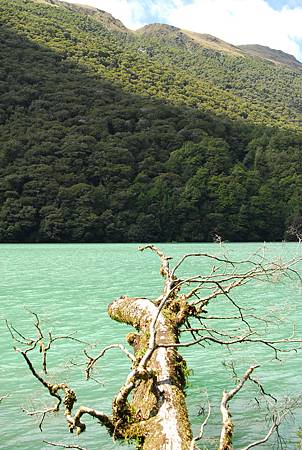 Windy point Creek_綠水2