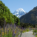 遠方的庫克山