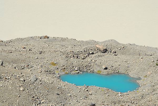 Tasma 冰河-出於泥而不染的小池