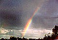 rainbow155.jpg