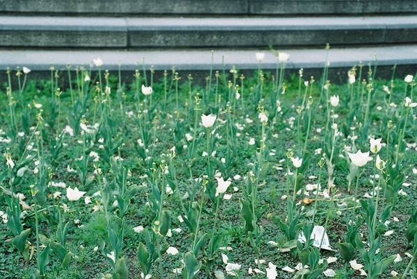 F1040011.JPG