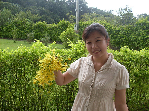 傳貴阿公送舖子的花（阿勃勒）.JPG