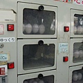 秋月城-雞蛋販賣機.jpg