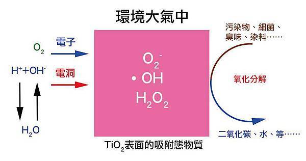 co2.jpg