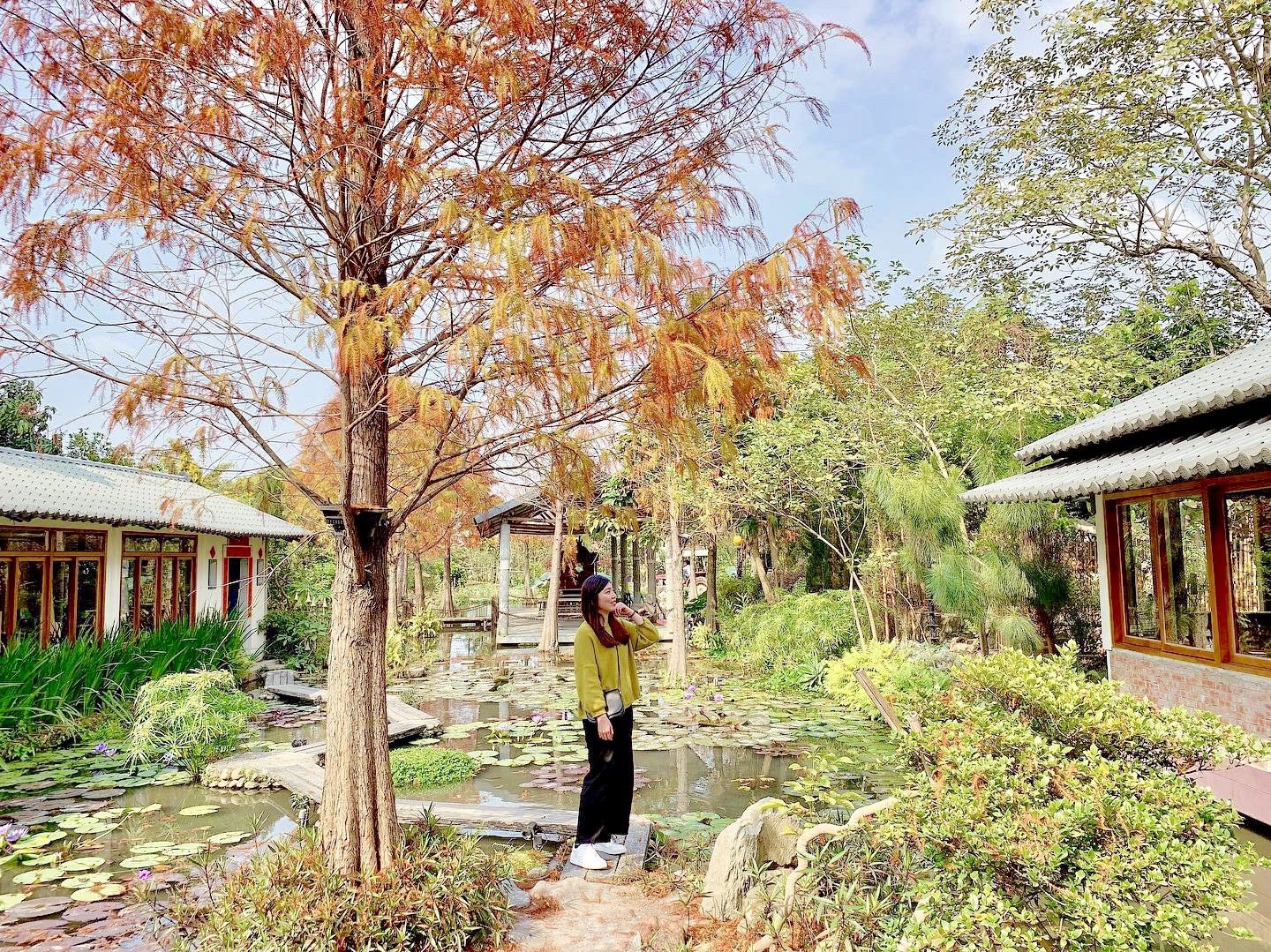 【台中南屯】田寮農莊│隱身城市裡的落雨松秘境的景觀餐廳【來自第一代總舖師的手路菜】古早味農家菜、特色餐點，吃飽還有後花園可以走走的朋友聚會/親子出遊好去處！