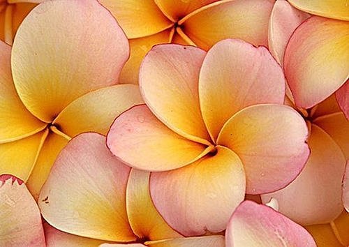 wsi_p.UYN1gx42w8anV4gg (1).jpg