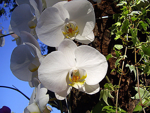 6jQZFL6uKyOB7hpTsSnKPQ (1).jpg