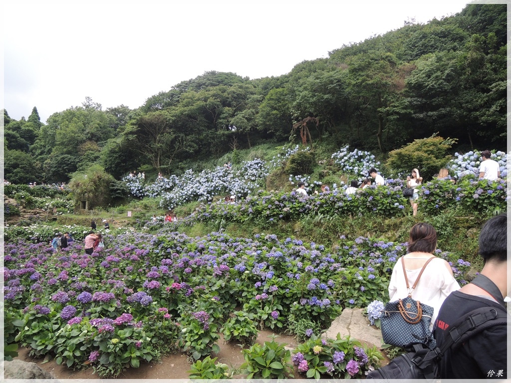 DSCN1429.JPG DSCN1429.JPG