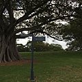 The Royal Botanic Garden