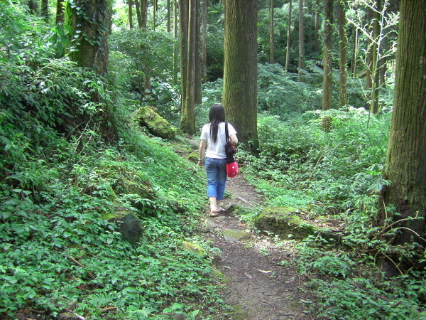 開始爬山囉