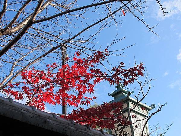 【2015。關西】Day2京都(上)清水寺+二年坂三年坂+八