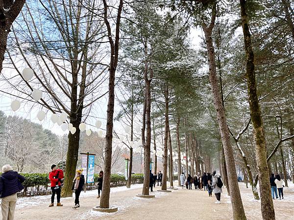 【2023冬。首爾】Day5。聖誕節下雪的東大門。終於收集到