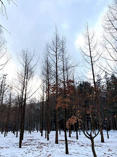 【2023冬。首爾】Day5。聖誕節下雪的東大門。終於收集到