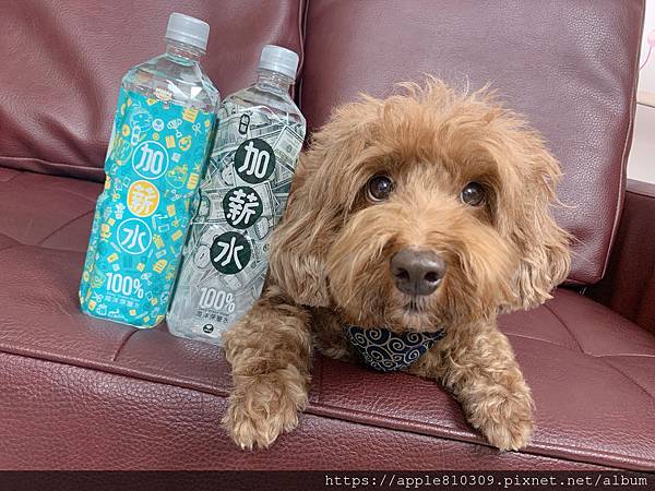 IMG_7189.JPG IMG_7189.JPG