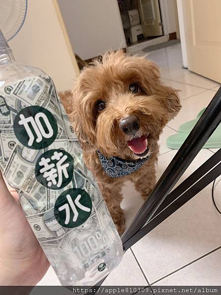 IMG_7215.JPG IMG_7215.JPG