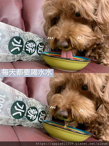 IMG_7230.JPG IMG_7230.JPG