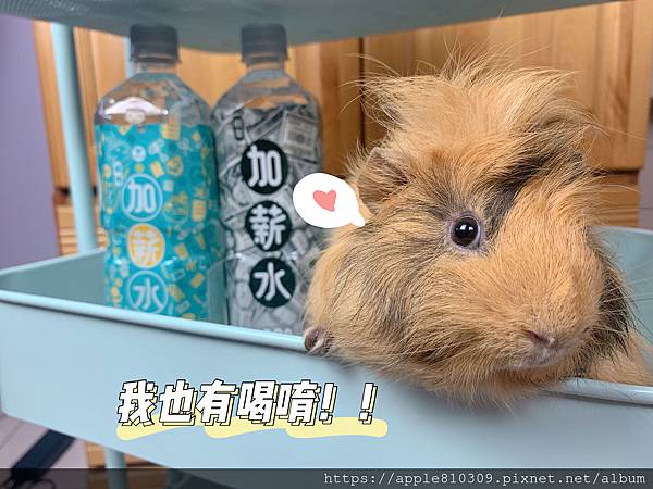 IMG_7228.JPG IMG_7228.JPG