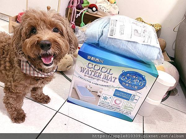 IMG_0675.JPG IMG_0675.JPG