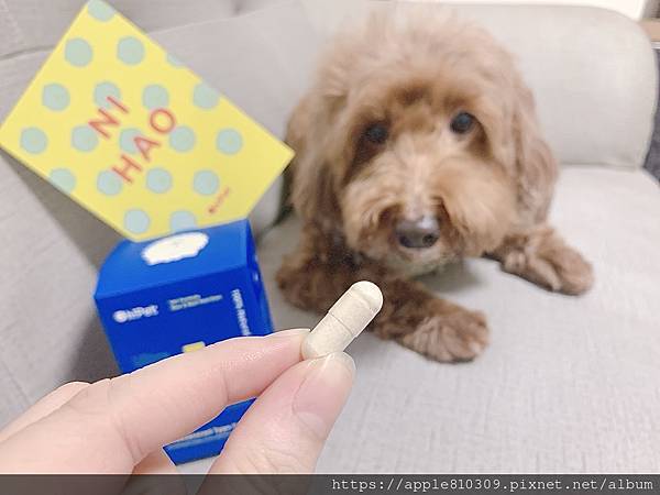 OhPet犬貓關節保健 | 關節專科 Ultra Joint