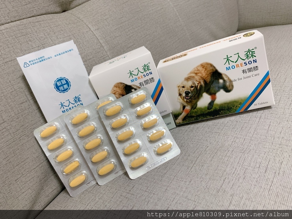 🐾 木入森｜有關膝🐾狗狗關節保健食品推薦　。邁入高齡犬的毛孩