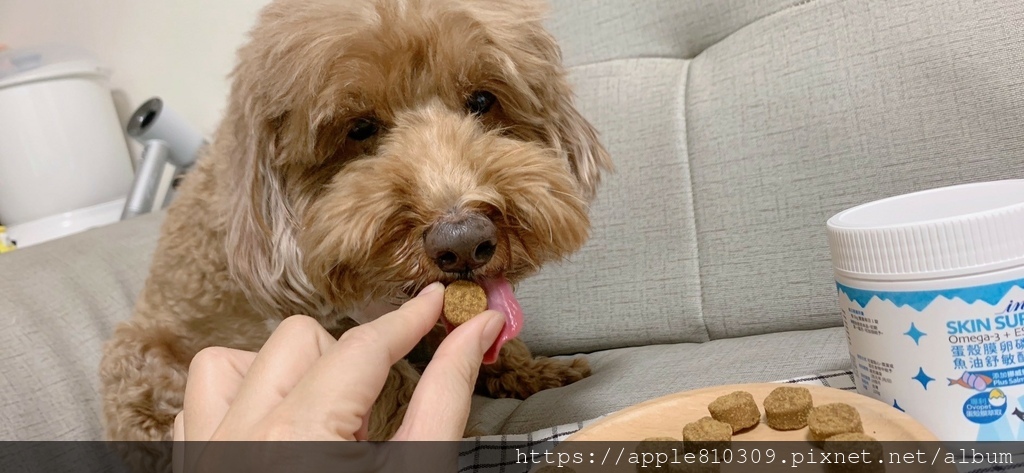 LINE_ALBUM_蛋殼膜卵磷脂魚油舒敏配方_231119_9.jpg LINE_ALBUM_蛋殼膜卵磷脂魚油舒敏配方_231119_9.jpg