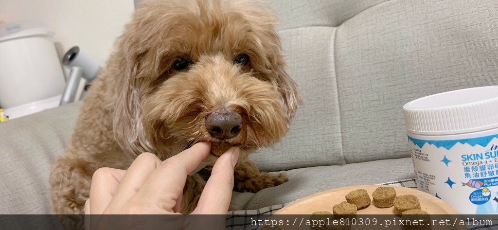 LINE_ALBUM_蛋殼膜卵磷脂魚油舒敏配方_231119_10.jpg LINE_ALBUM_蛋殼膜卵磷脂魚油舒敏配方_231119_10.jpg