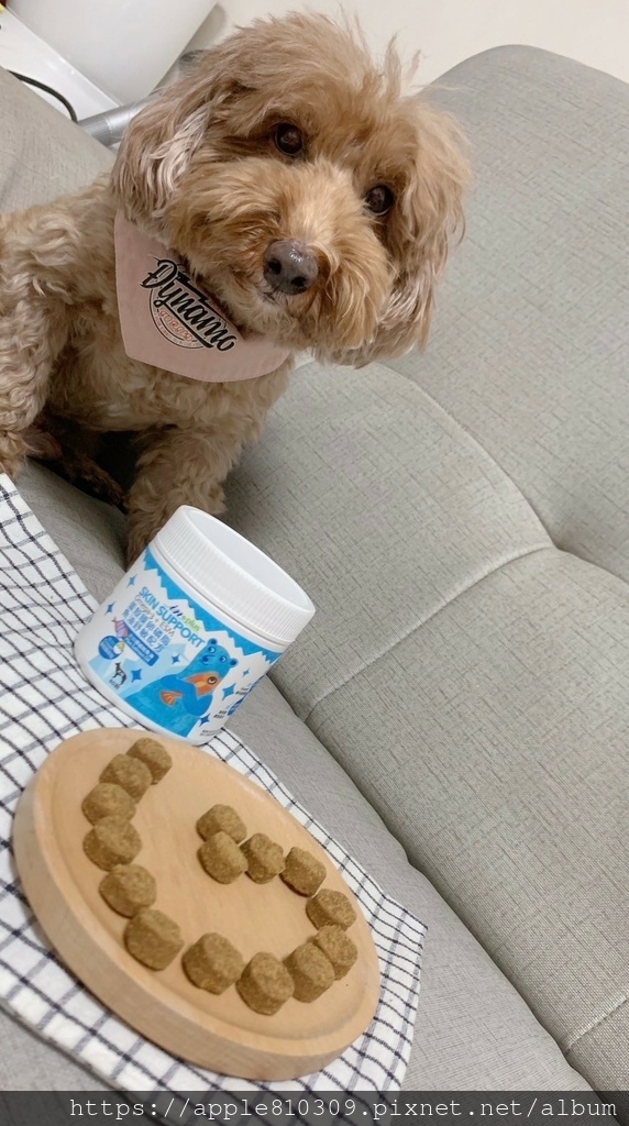 LINE_ALBUM_蛋殼膜卵磷脂魚油舒敏配方_231119_13.jpg LINE_ALBUM_蛋殼膜卵磷脂魚油舒敏配方_231119_13.jpg