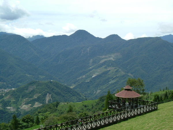 清靜景色