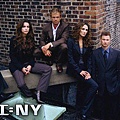 csi-ny.