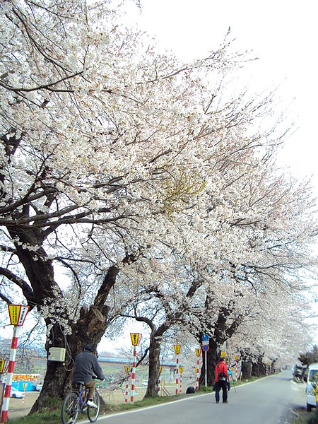 DSC01494.JPG