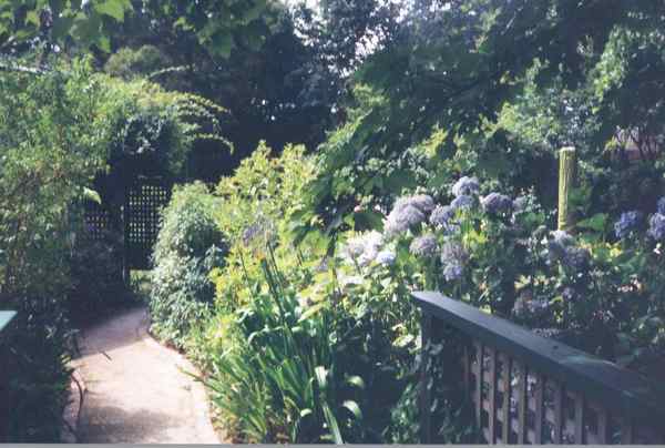 a garden