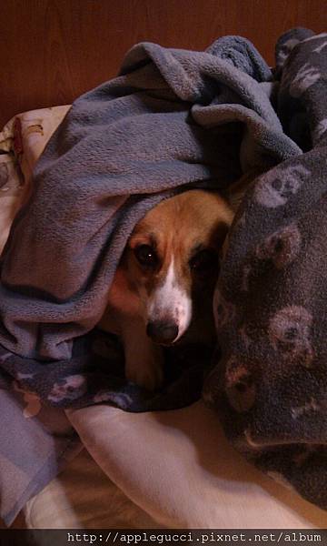 IMAG0469.jpg IMAG0469.jpg