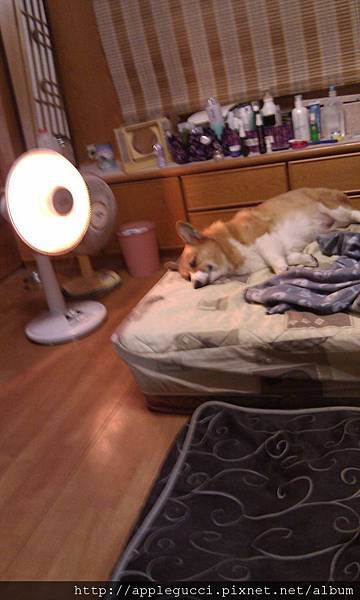 IMAG0476.jpg IMAG0476.jpg