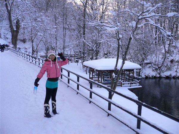 北海道-哇!全被雪給覆蓋囉!