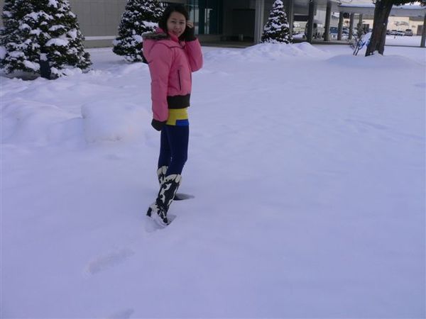 北海道-旭川機場外...積雪